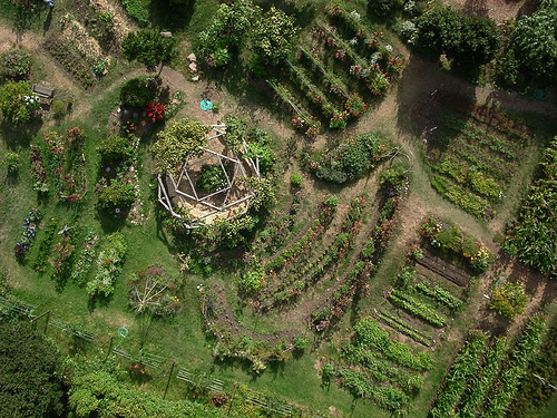 Edible Schoolyard